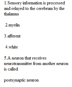 Lecture Quiz 3